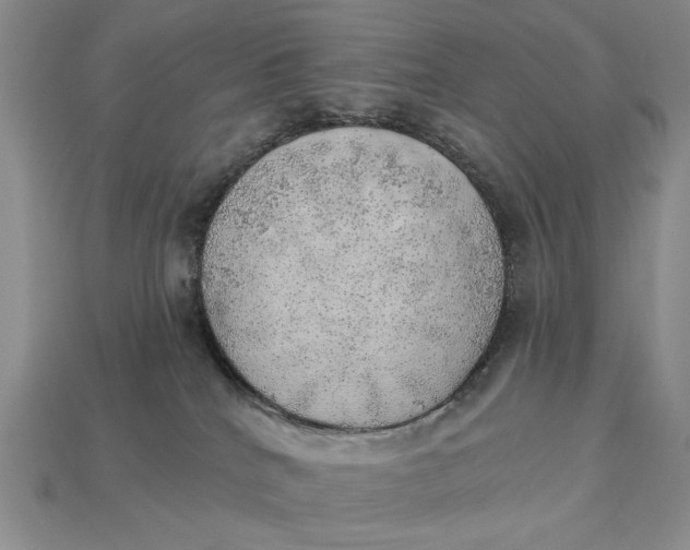 X0000112760040200909101539