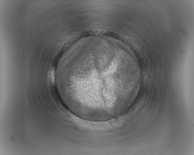 X0000112760042200909101539