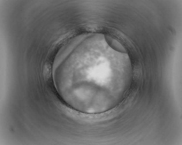 X0000112760043200909101539
