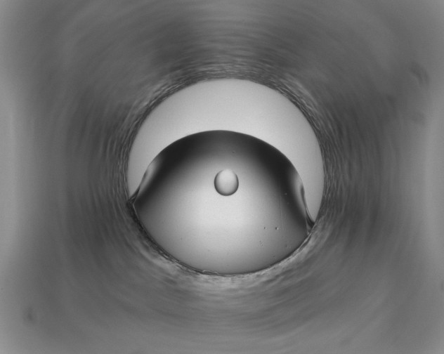 X0000112760045200909101539