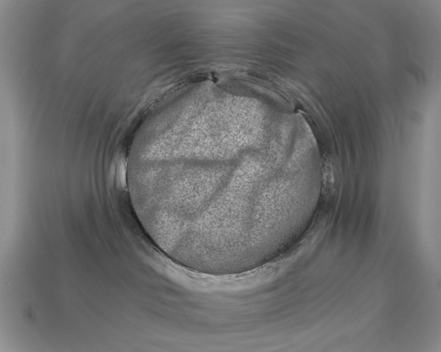 X0000112760046200909101539