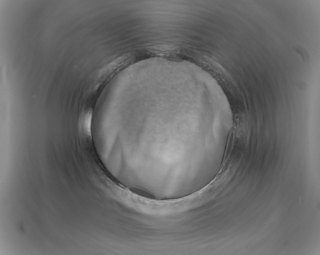 X0000112760047200909101539