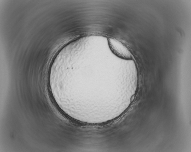 X0000112760049200909101538