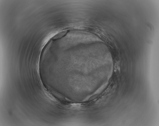 X0000112760052200909101538