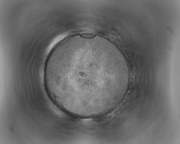 X0000112760054200909101538