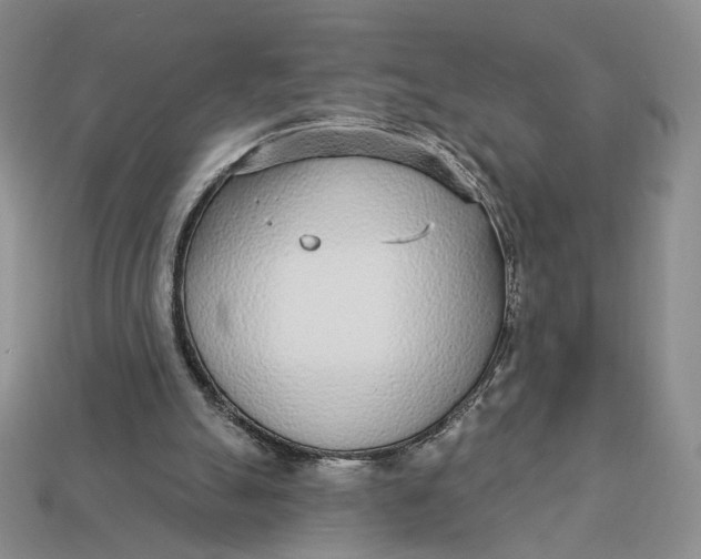X0000112760055200909101538