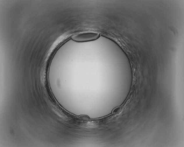X0000112760056200909101538