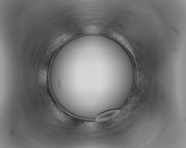 X0000112760057200909101538