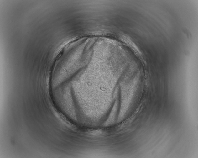X0000112760058200909101538