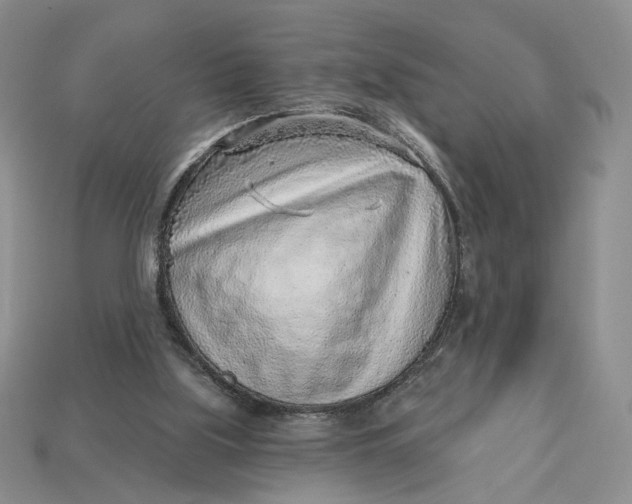 X0000112760059200909101538