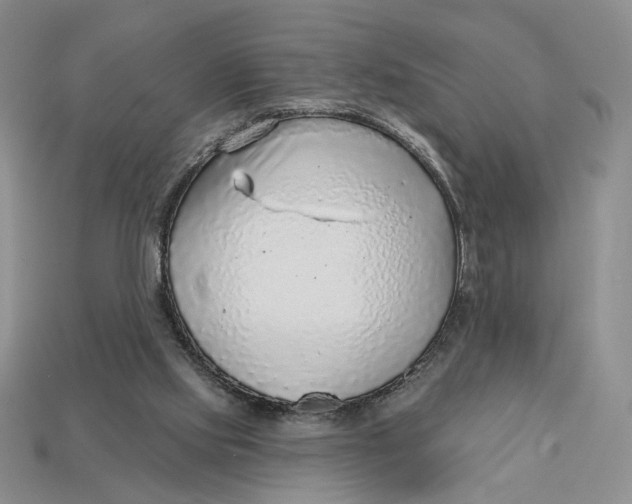 X0000112760061200909101538