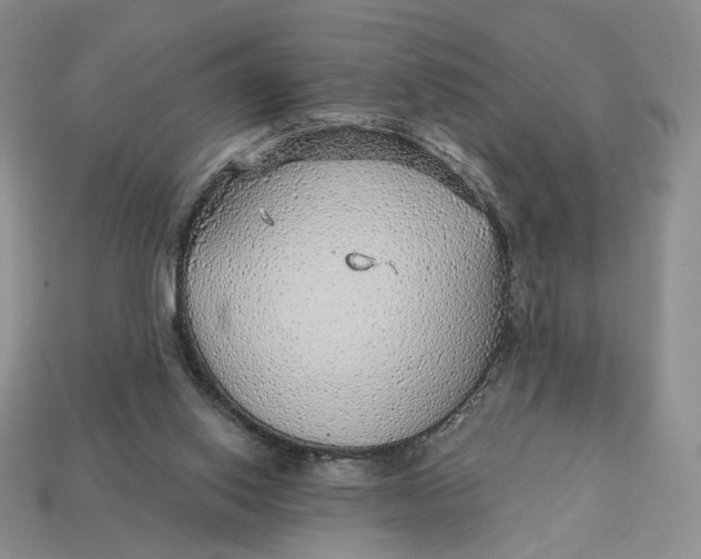 X0000112760062200909101538