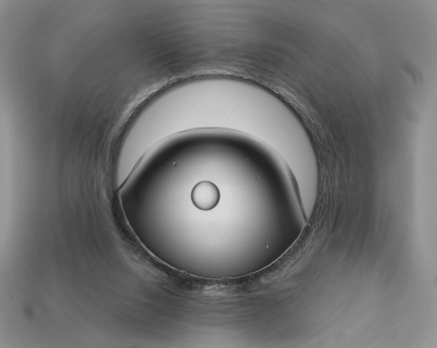 X0000112760064200909101539