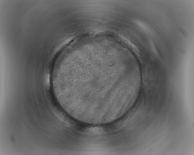 X0000112760067200909101539
