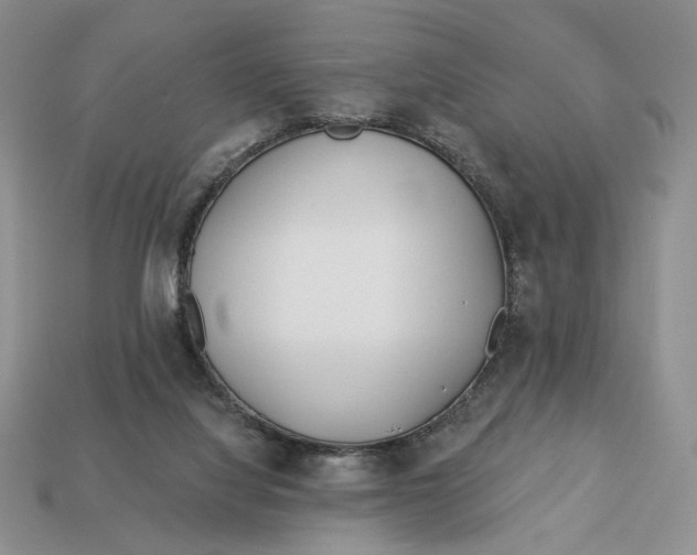 X0000112760068200909101539