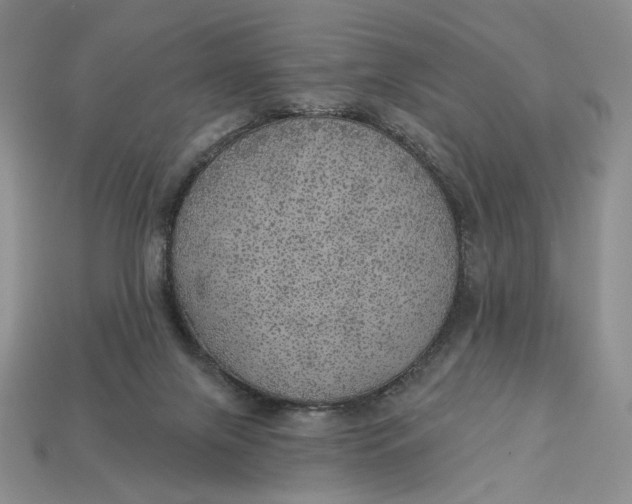 X0000112760071200909101539