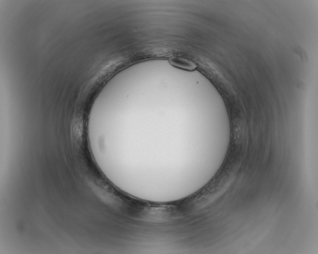 X0000112760072200909101539