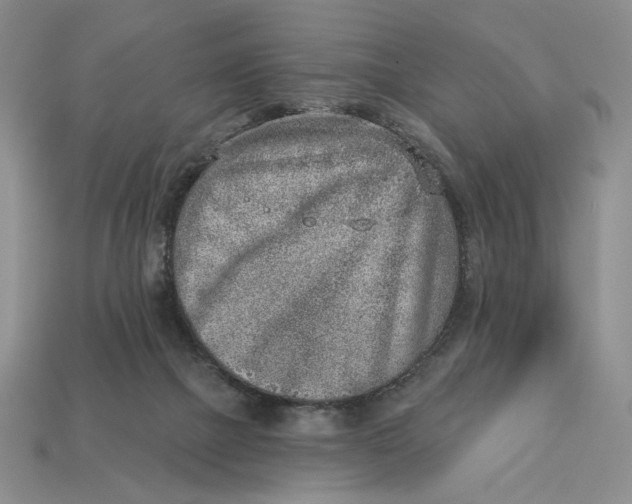 X0000112760073200909101539