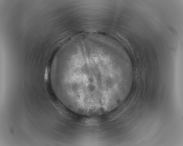 X0000112760075200909101539