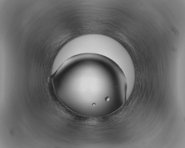 X0000112760076200909101539