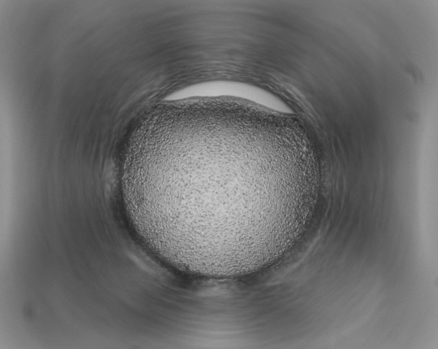 X0000112760077200909101539