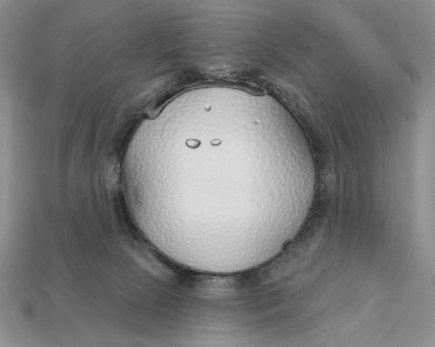 X0000112760081200909101539