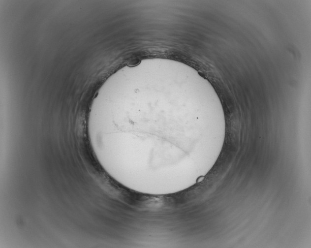 X0000112760083200909101539