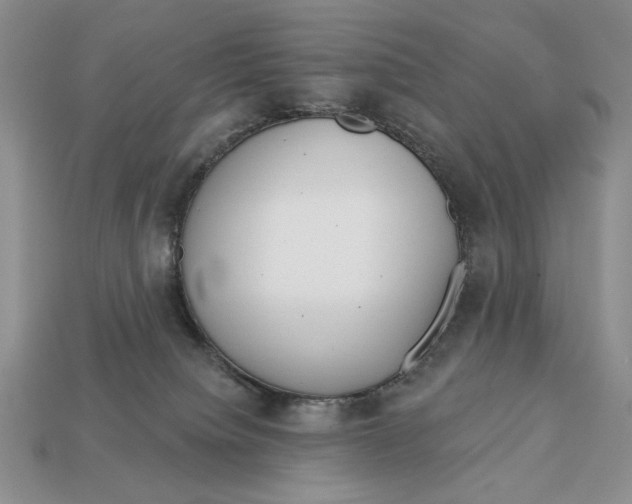 X0000112760084200909101539