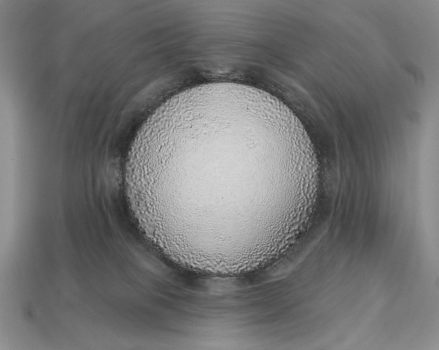 X0000112760085200909101539