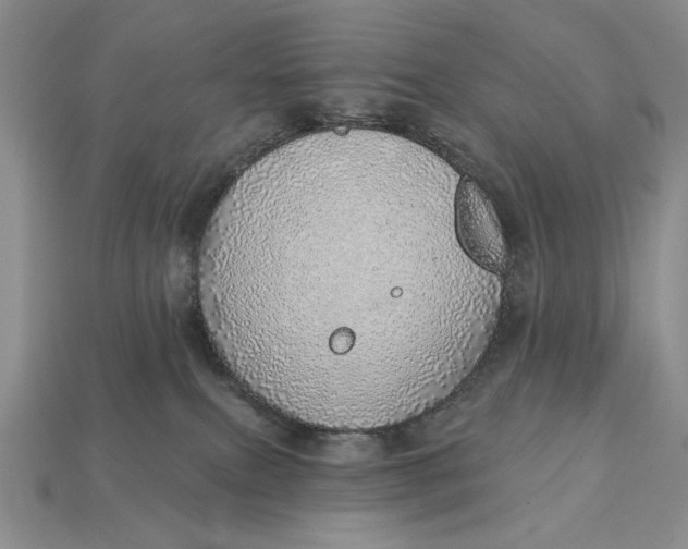 X0000112760087200909101539