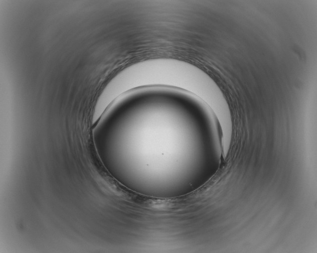 X0000112760088200909101539