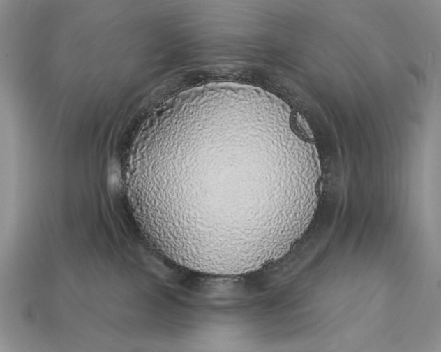 X0000112760089200909101539