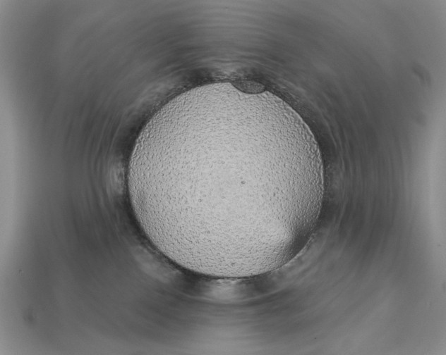 X0000112760090200909101539