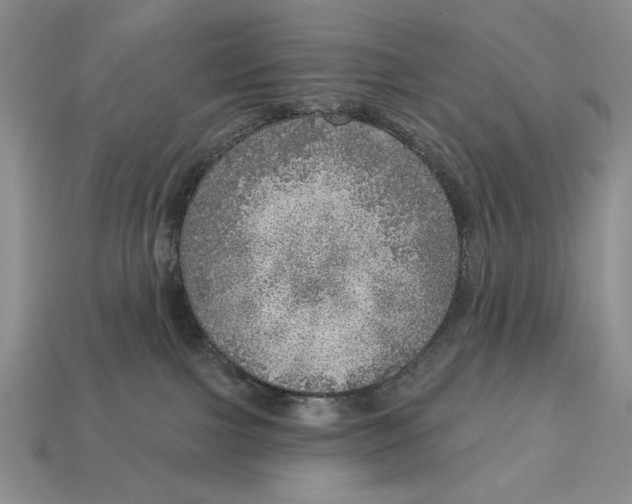 X0000112760091200909101539