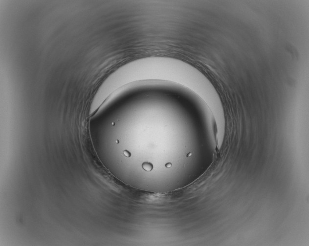 X0000112760092200909101539