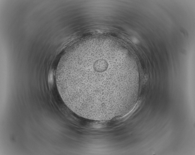 X0000112760094200909101539