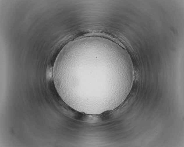 X0000112760095200909101539