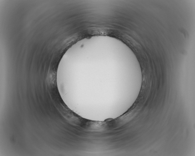 X0000112760096200909101539