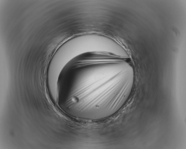 X0000112760097200909101538