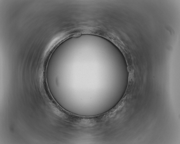 X0000112760101200909101538