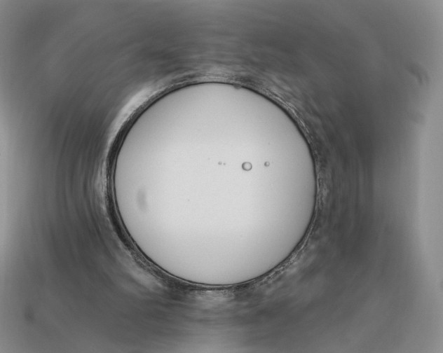 X0000112760102200909101538