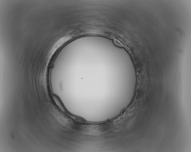 X0000112760104200909101538