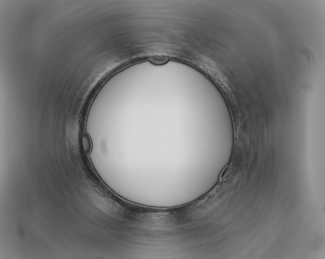 X0000112760108200909101538