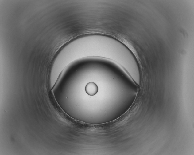 X0000112760109200909101538