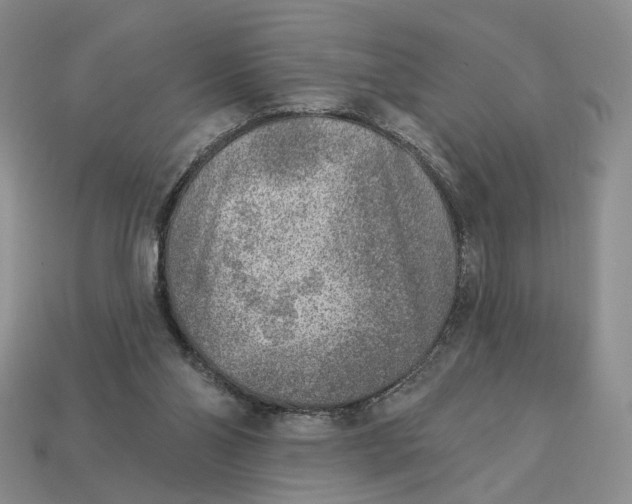 X0000112760110200909101538