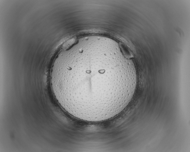 X0000112760111200909101538