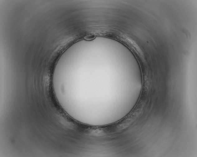 X0000112760113200909101538