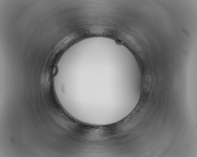 X0000112760116200909101538