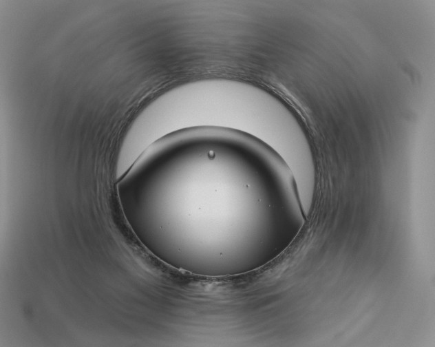 X0000112760117200909101538