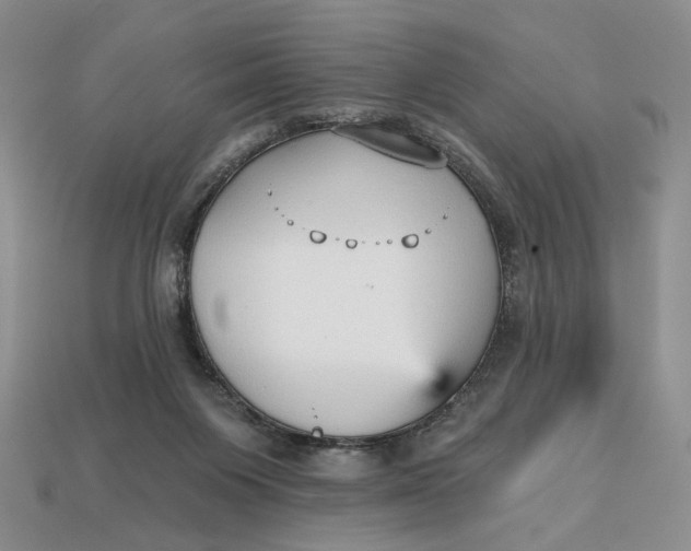 X0000112760119200909101538